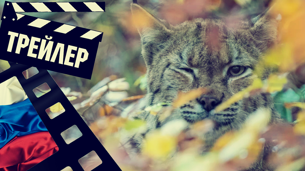 ??? ДИКИЕ КОШКИ (LYNX) - 2023 (ТРЕЙЛЕР) (РУС) смотреть онлайн