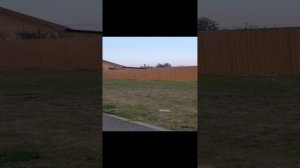 Ялуторовск,прогулка,хулиганы!