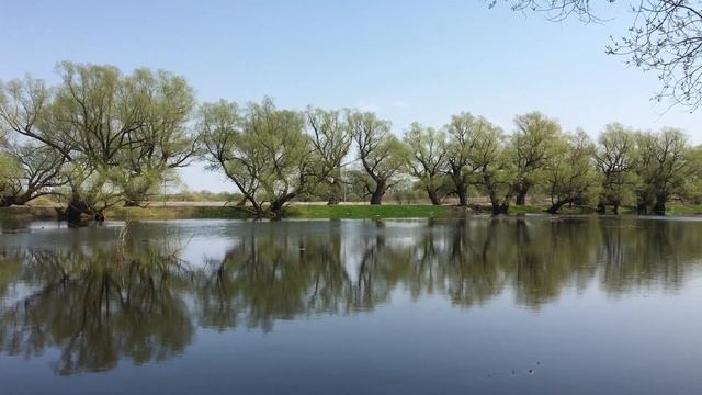 Озеро Мячино, музей Витославлицы. смотреть онлайн
