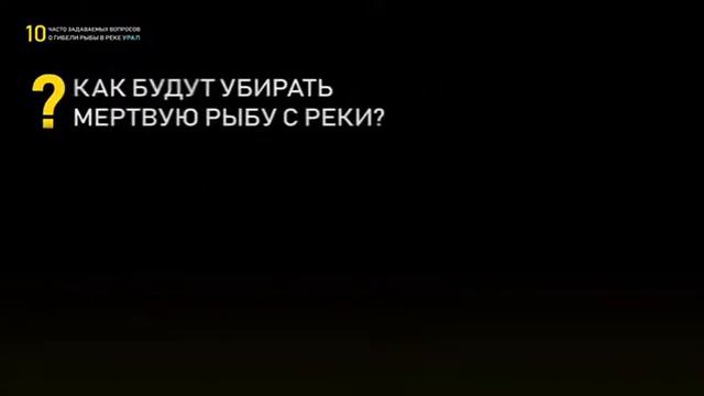 Что известно о гибели рыбы в реке Урал смотреть онлайн