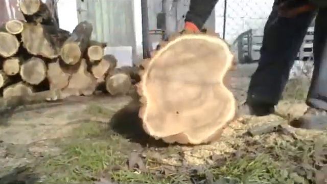 Zid Tajga 245 Láncfűrész Taiga Chainsaw