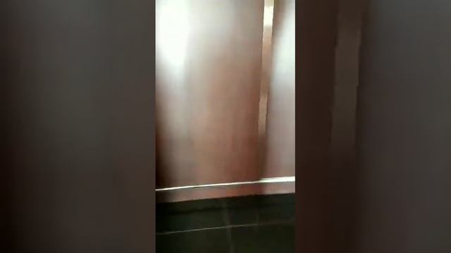 СПб, ул. Коллонтай д. 49 однокомнатная квартира в прямой продаже??? смотреть онлайн