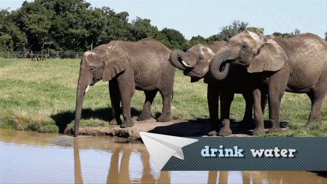 Lessons-27 смотреть онлайн