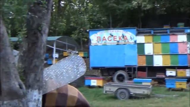 Анапа (2016) смотреть онлайн