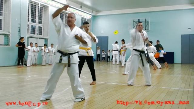 Кихон ката - 4 кю. Карате Кёкусинкай