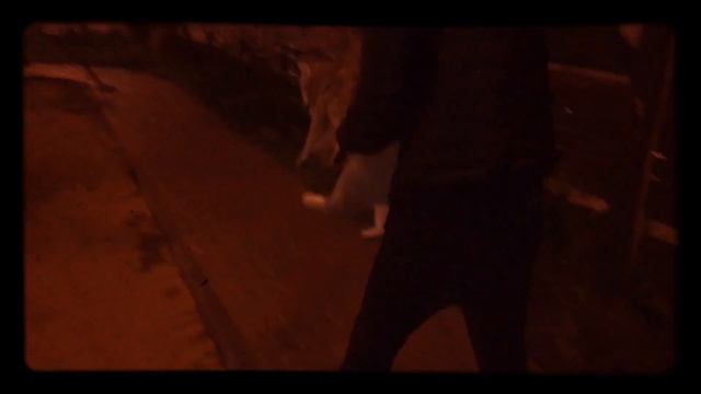 ВЫГУЛИВАЕМ КОТА НА УЛИЦЕ|ГУЛЯЕМ С КОТОМ НА УЛИЦЕ? смотреть онлайн