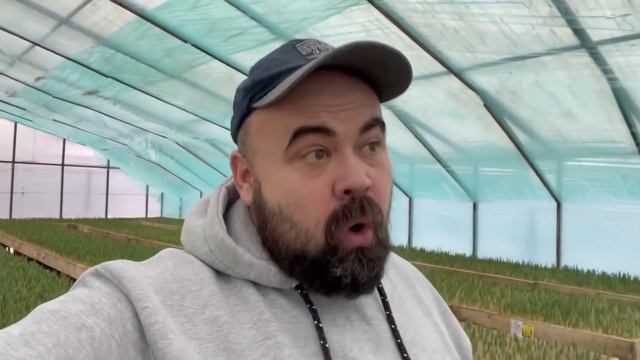 Выгонка Тюльпанов 29.012022 моя история . смотреть онлайн