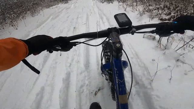 Подготовка лыжной трассы фэтбайком