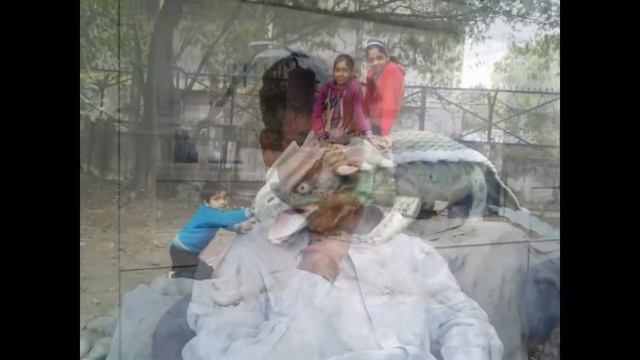 DIWAKAR SINGH GAMA ORGANOMED PLUS (P) LTD. LUCKNOW смотреть онлайн