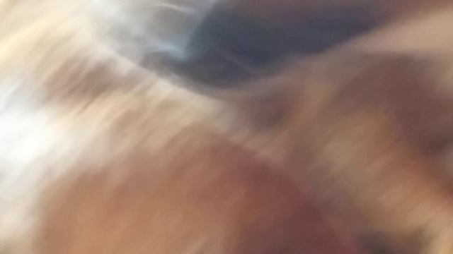 31 августа 2019 г.