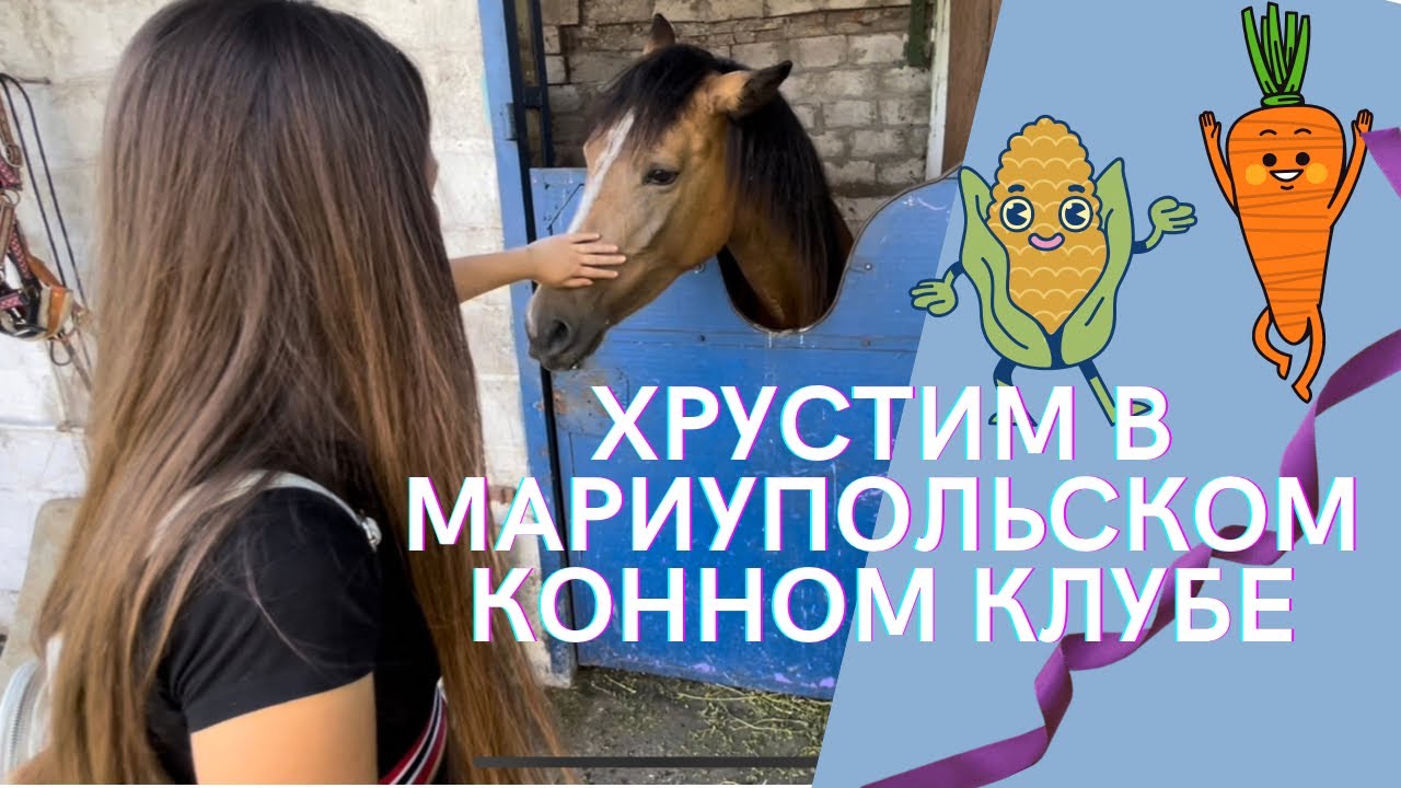 ХРУСТЯЩИЙ ВЛОГ ИЗ МАРИУПОЛЬСКОГО КОННОГО КЛУБА смотреть онлайн