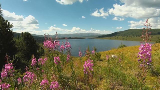 Прекрасное озеро в горах Алтая | Красивая природа для релакса | Mountain Lake | Beautiful nature смотреть онлайн