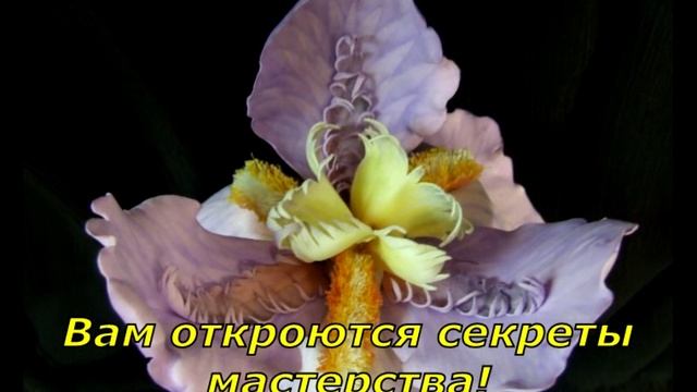 Мастер-класс ирис из фоамирана в подарок смотреть онлайн