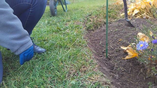 Оформление края цветника смотреть онлайн