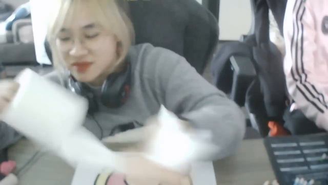 tô màu bó hoa tulip dùng để tặng người thân hoặc người yêu dấu смотреть онлайн