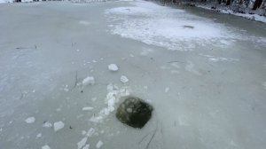 Что делать чтобы рыба не задохнулась. Опустил камеру на дно. Пруд на участке.