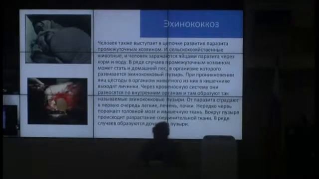 Колоскова О.В.: чем могут заразить бродячие собаки смотреть онлайн