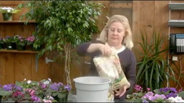 Mixing Soil for African Violets смотреть онлайн
