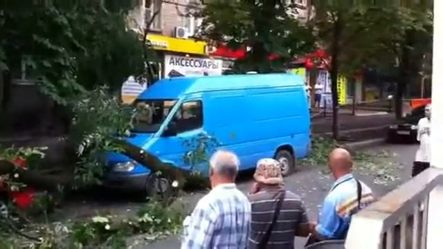 Дерево упало на машину смотреть онлайн