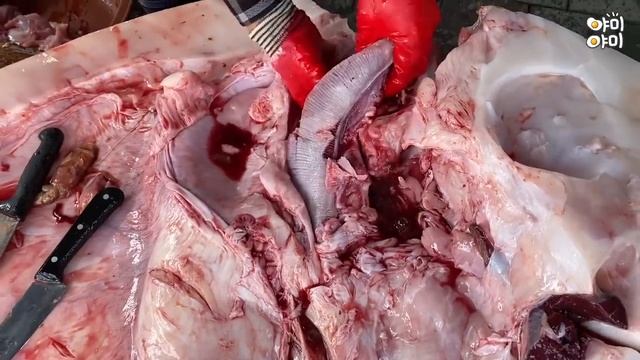 Разделка супер гигантской рыбы-луны весом 1.2 тонны /Уличная еда Кореи .ENG SUB смотреть онлайн