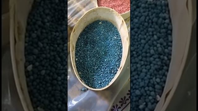 اختصرت لك برامج التسميد للحدائق المنزلية بهذا الشرح الذي استفاد منه الآلاف وطلبوا إعادته - أبسط شرح смотреть онлайн