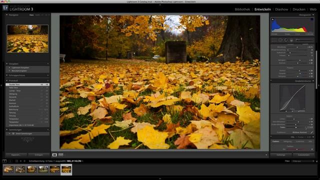 Herbstbilder in Adobe Lightroom 3 смотреть онлайн