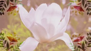 #ЦвететМагнолия#Видеоklass#ЖаннаДаценко#