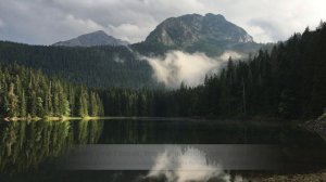 Перевод на русский песни Royalty - Egzod & Maestro Chives