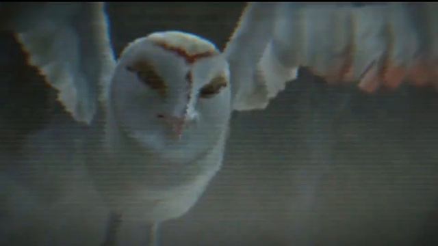 Легенды ночных стражей клип "Клан Чистых" смотреть онлайн
