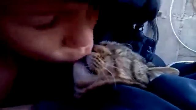 Как правильно целоваться!КОТ ВАСЯ И ВАСЯ хД смотреть онлайн