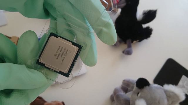 Intel core i5-10600KF easy custom PC and Windows 10 смотреть онлайн