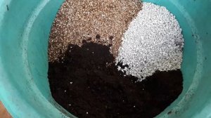 Мой грунт для всех растений. И сингониумы заодно пересадила.