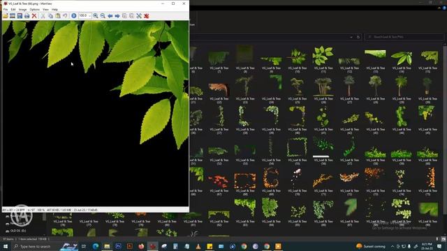 Tree Green Branches PNG | Leafs PNG Files Download | Green Branches смотреть онлайн