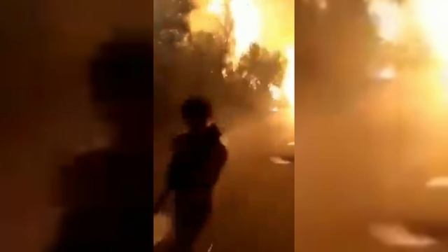 Лесные пожары в Алжире. Погибли 25 солдат и 17 гражданских лиц смотреть онлайн