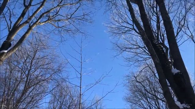 ДЕНЬ ЗАЩИТНИКА ОТЕЧЕСТВА.2021г. смотреть онлайн