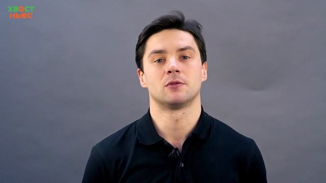 Умные птицы. смотреть онлайн