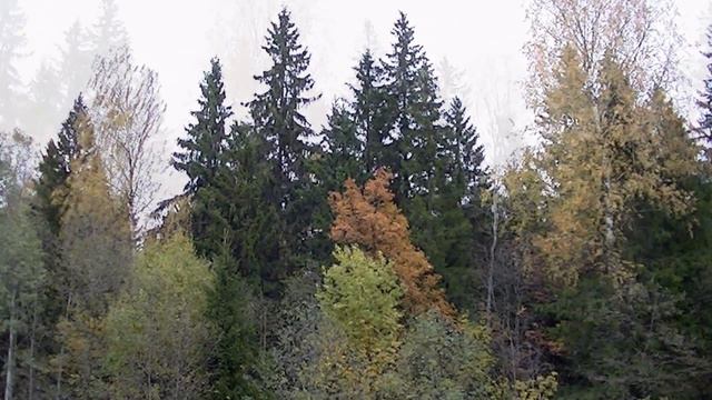 Осень девчонка рыжая смотреть онлайн
