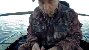 Ловля сома на куриную печень. Отчёт о рыбалке