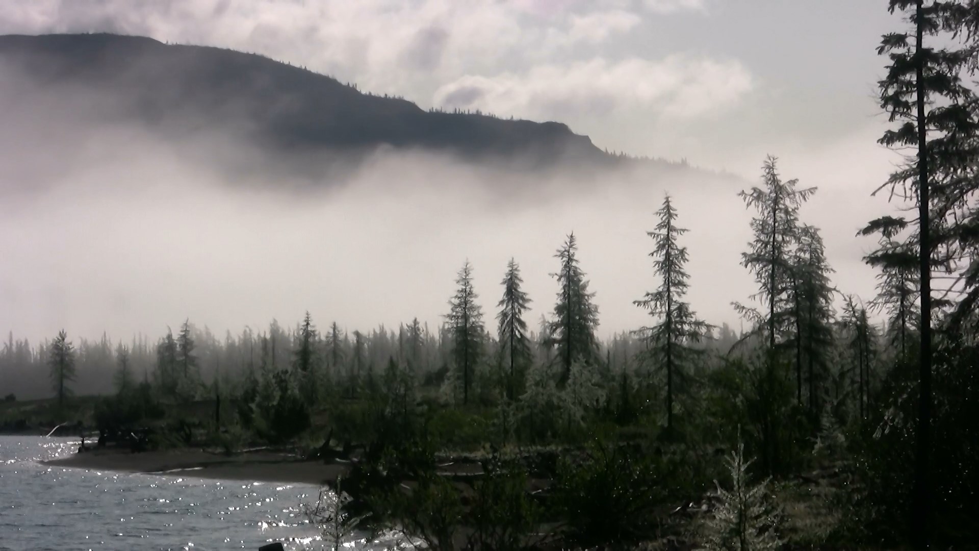 Трейлер к фильму о плато Путорана смотреть онлайн