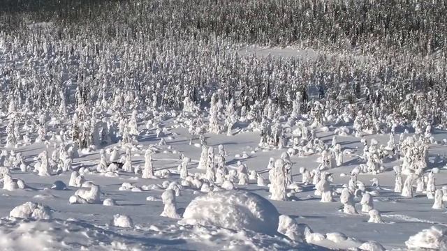 Захватывающие виды Паанаярви. Древние Саамы. Гора Киваккатунтури смотреть онлайн