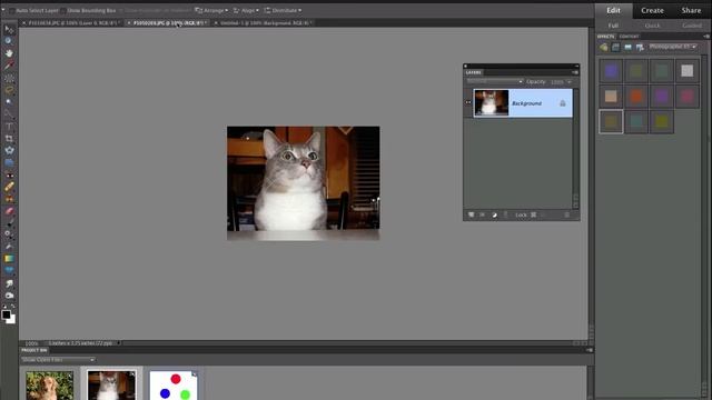Photoshop Elements Move Tool смотреть онлайн