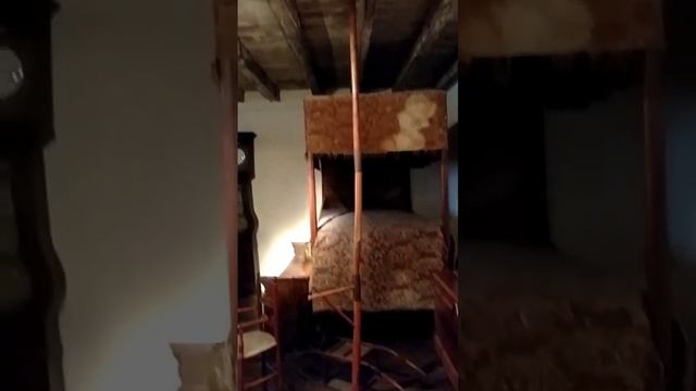Франция. Интерьер дома, палка для привязи ребенка смотреть онлайн