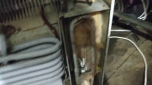 холодильник Морозко обзор