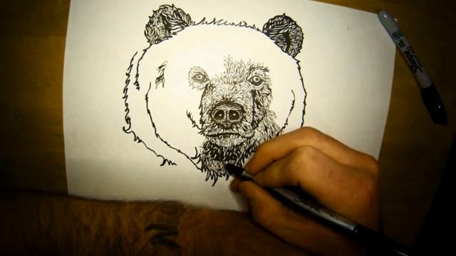 Bear Drawing Time Lapse смотреть онлайн