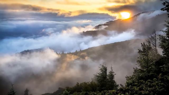 Beautiful Piano Music, Classical Piano Music, Relaxing Piano Music, Soothing Music