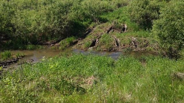 Ниссан Террано 1 и Террано 2 - что могут эти внедорожники?