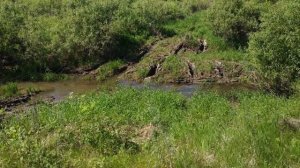 Ниссан Террано 1 и Террано 2 - что могут эти внедорожники?