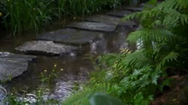 Легкий сон менее чем за 3 минуты - шум дождя и грома в туманном лесу ночью смотреть онлайн