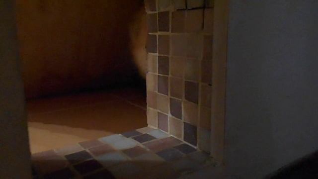В одиночестве не грустно... Кошка Подушка. смотреть онлайн