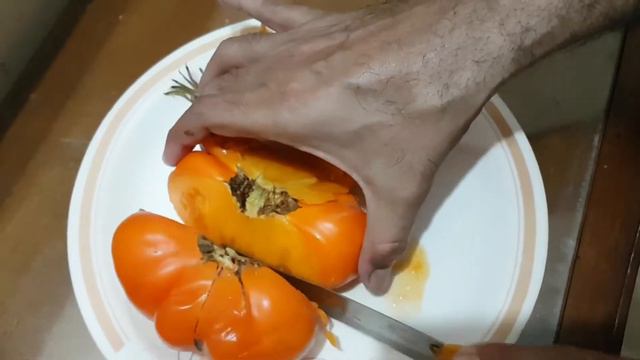 Gigantic Yellow Brandywine - Eating/Tasting